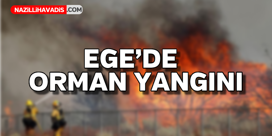 Ege'de orman yangını