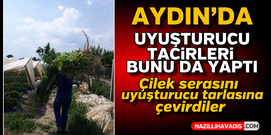 Uyuşturucu tacirleri bunu da yaptı !