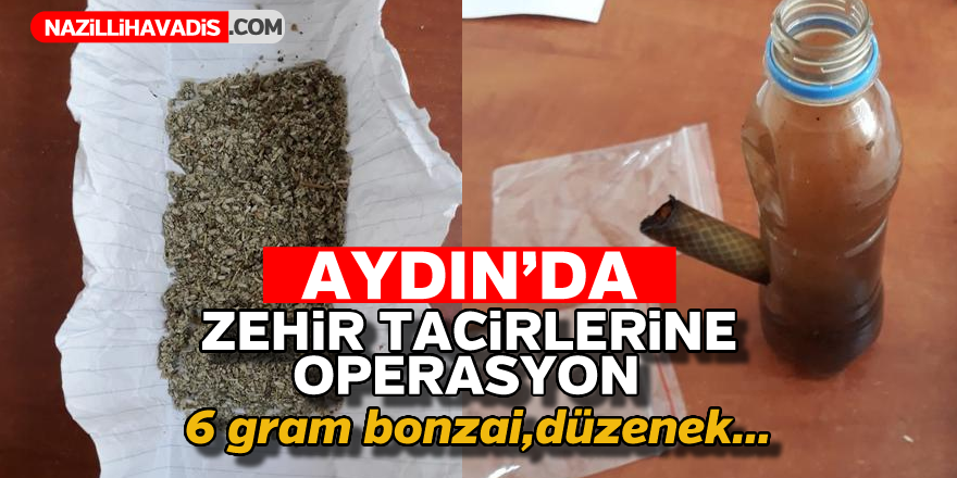 Aydın'da uyuşturucu operasyonu