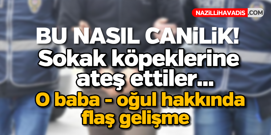 Sokak köpeklerine ateş eden kişi gözaltına alındı