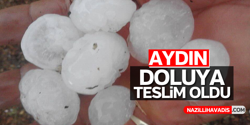 Aydın'da doluya teslim oldu
