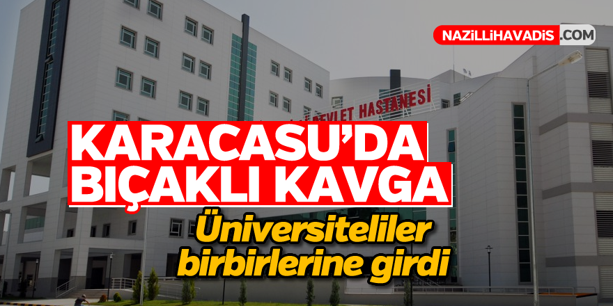 Karacasu'da bıçaklı kavga; 1 yaralı