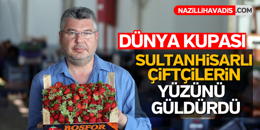 Dünya Kupası Sultanhisarlı çiftçilerin yüzünü güldürdü