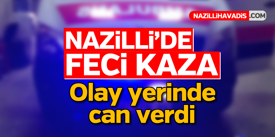 Nazilli'de feci kaza