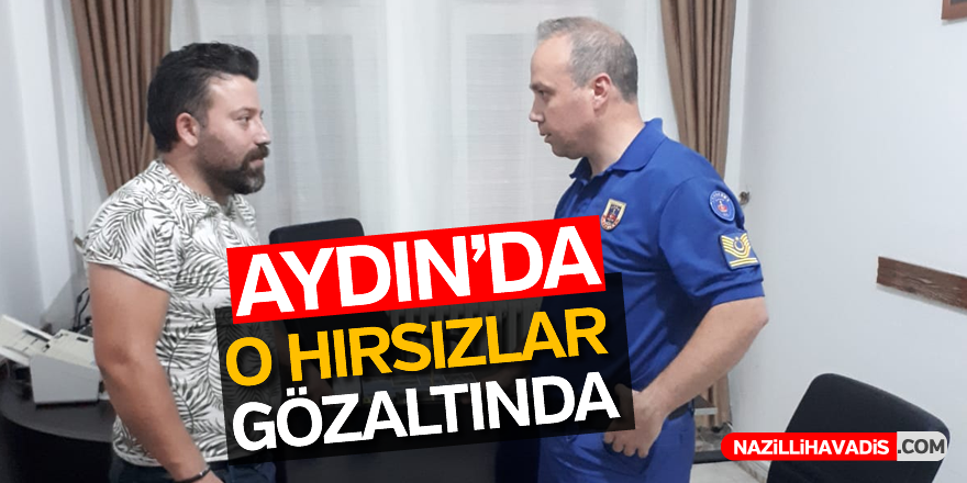 Aydın'da o hırsızlar gözaltında
