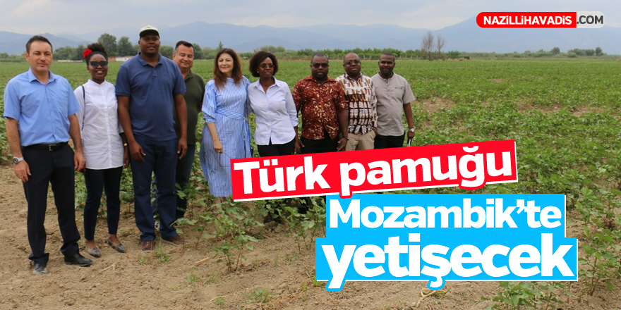 Türk pamuğu Mozambik'te yetişecek