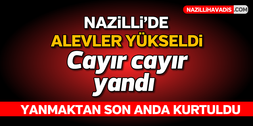 Nazilli'de yangın