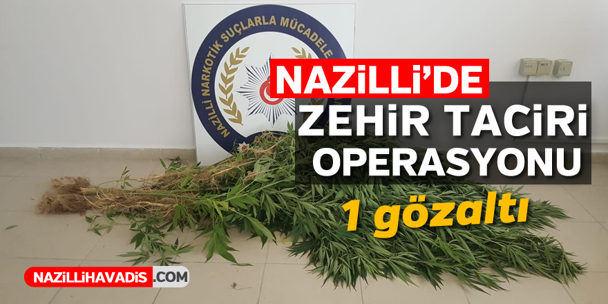 Nazilli'de zehir taciri operasyonu