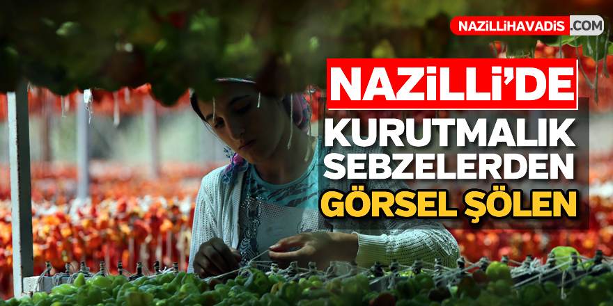 Nazilli'de "kurutmalık" sebzeler görsel şölen oluşturdu