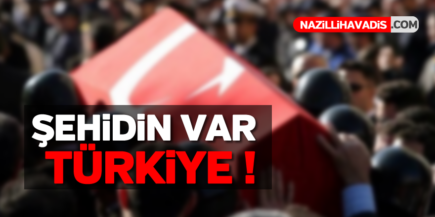 Şehidin var Türkiye !