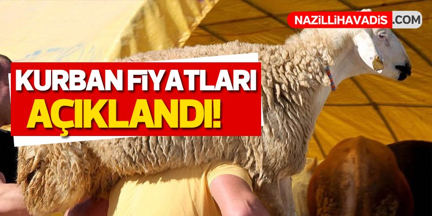 Kurban Fiyatları Açıklandı!