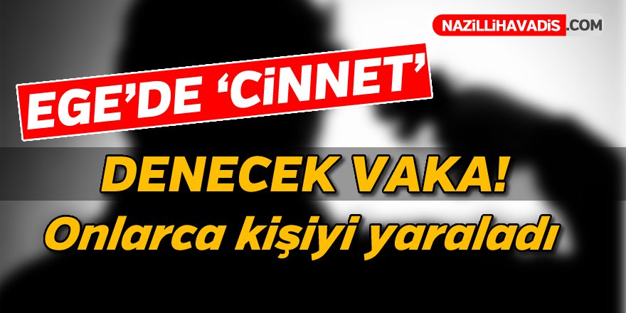 Ege'de Cinnet Denecek Vaka