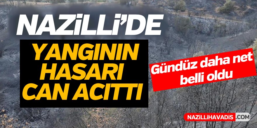 Nazilli'de Yangın Büyük Hasar Bıraktı