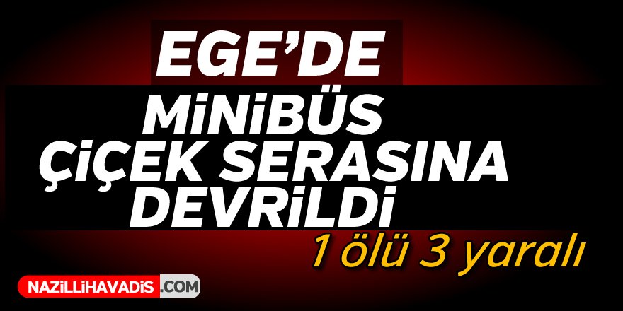 Minibüs Çiçek Serasına Devrildi