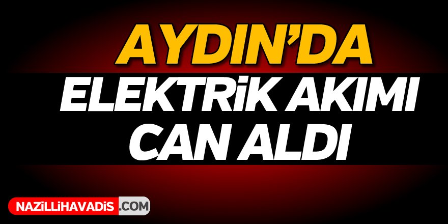 Elektrik Akımı Can Aldı