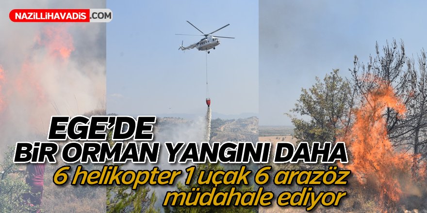 Ege'de Bir Orman Yangını Daha