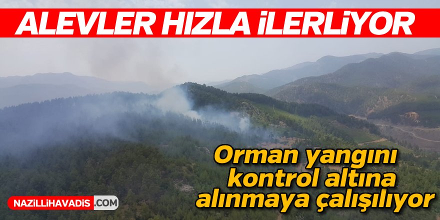 Orman Yangını Kontrol Altına Alınmaya Çalışılıyor