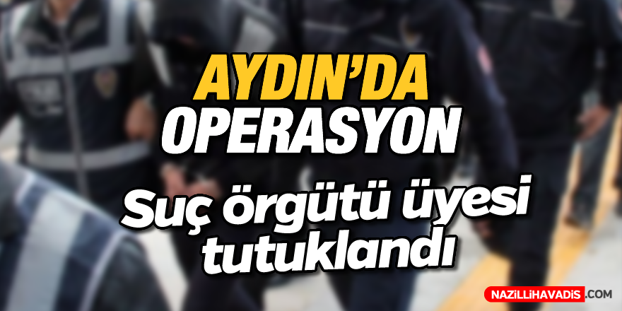 Aydın'da suç örgütüne operasyon