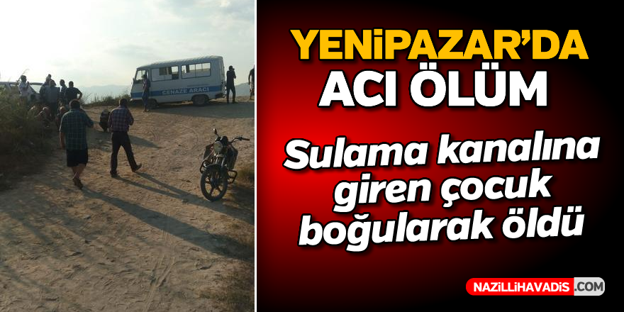 Yenipazar'da acı ölüm