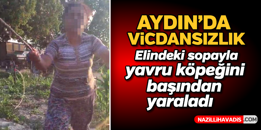 Aydın'da vicdansızlık