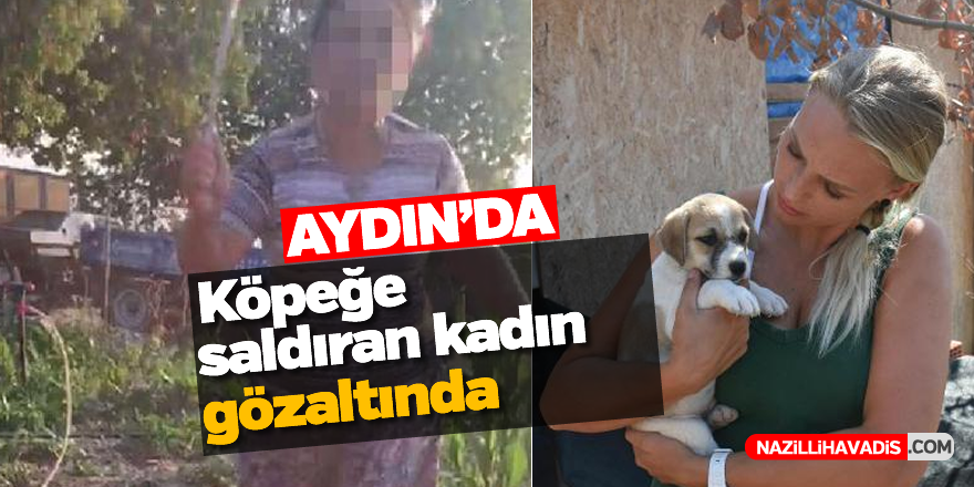 Aydın'da köpeğe saldıran kadın hakkında flaş gelişme