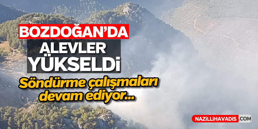 Bozdoğan'da yangın