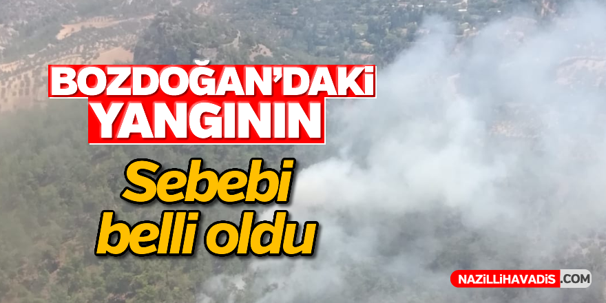 Bozdoğan'daki yangının sebebi belli oldu