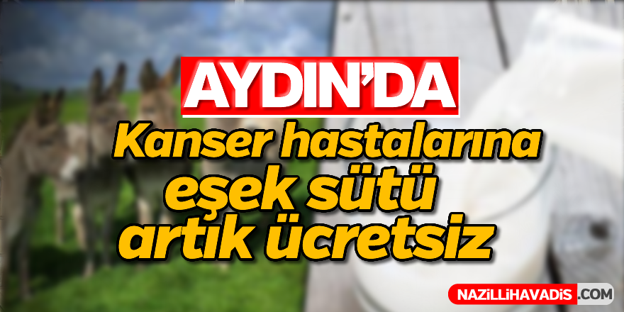 Kanser hastalarına ücretsiz eşek sütü