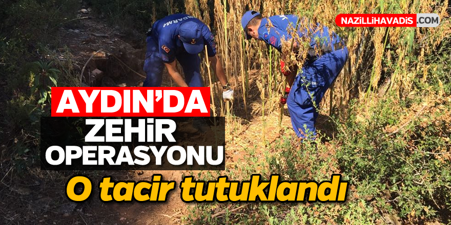 Aydın'da Uyuşturucu Operasyonu