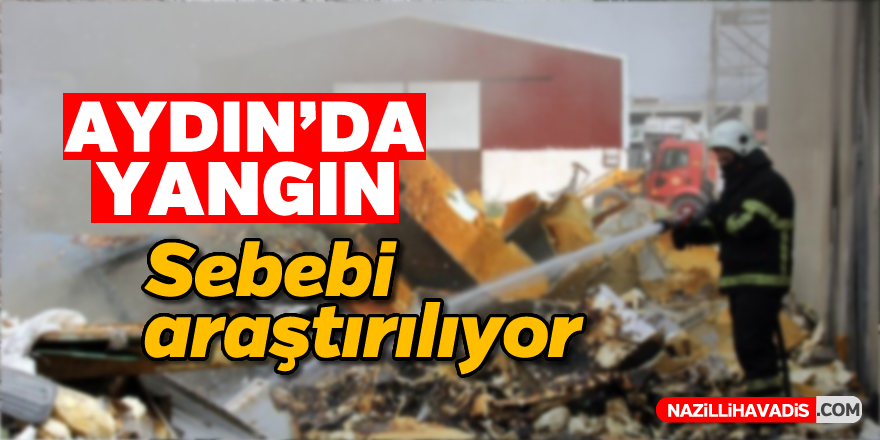 Aydın'da hurdalık alanda yangın çıktı