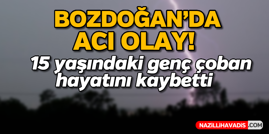 Bozdoğan'da acı olay