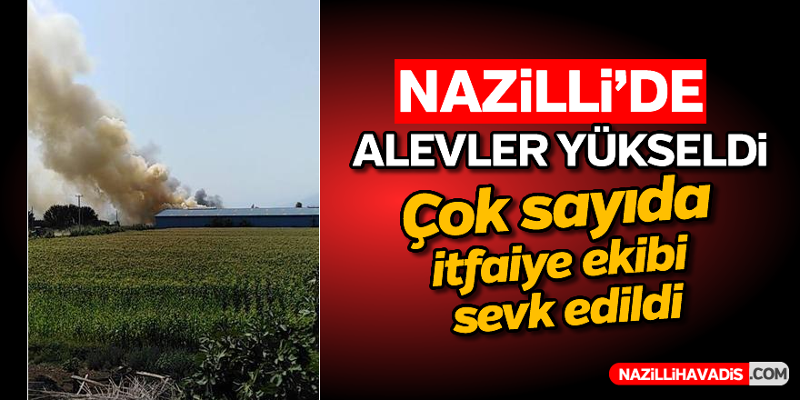 Nazilli'de yangın