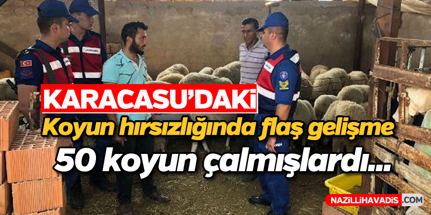 Karacasu'daki koyun hırsızlığında flaş gelişme