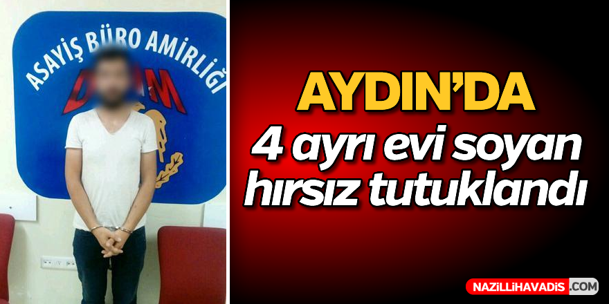 Aydın'da 4 hırsızlığa 1 tutuklama