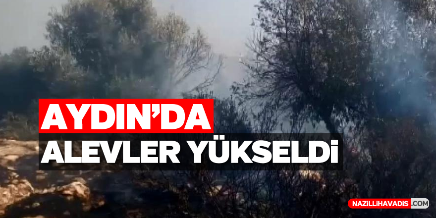Aydın'da ormanlık alan yandı