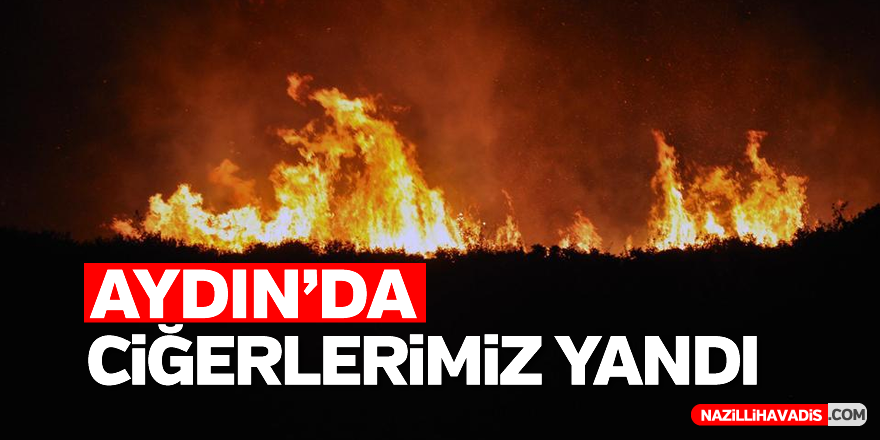 Aydın'da alevler yükseldi