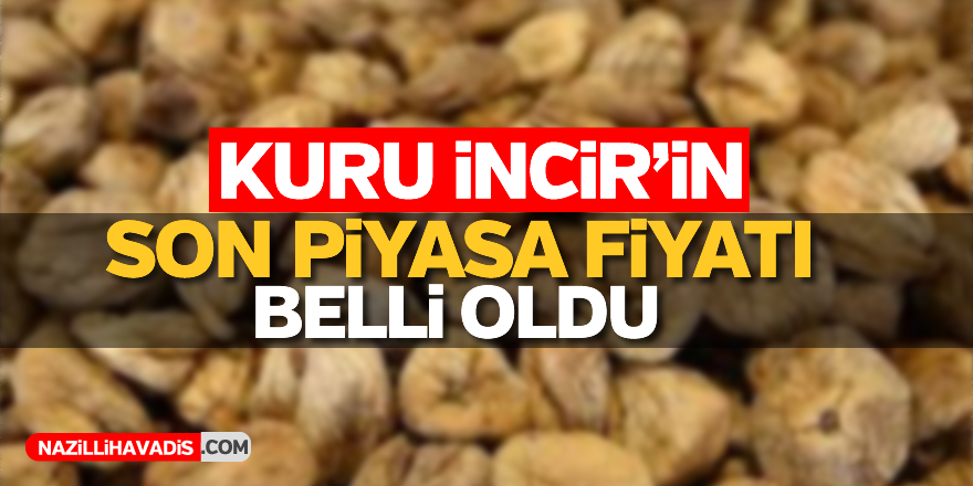 Kuru incirin piyasa fiyatı belli oldu