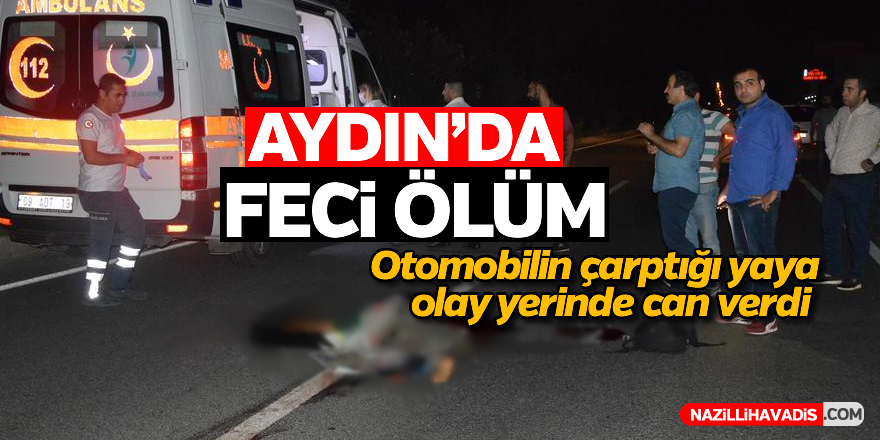 Aydın'da otomobilin çaptığı kadın feci şekilde can verdi