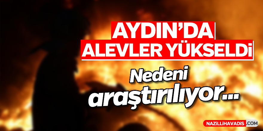 Aydın'da yangın