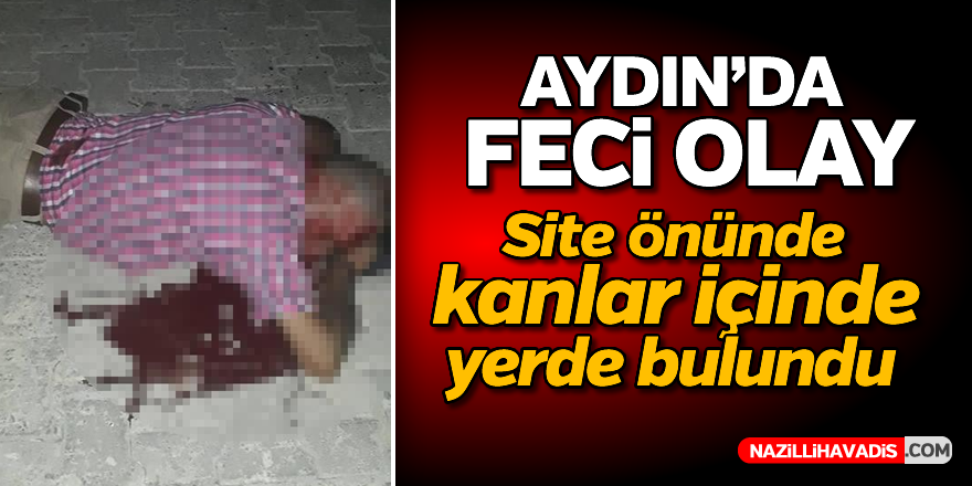 Aydın'da feci olay!