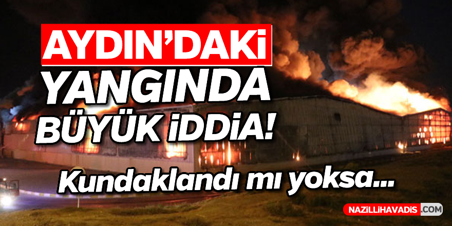 Aydın'daki yangında büyük iddia!