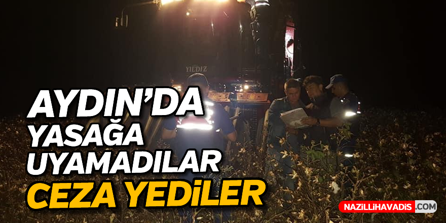 Gece pamuk hasadı yasağına uymayanlara yasal işlem başlatıldı