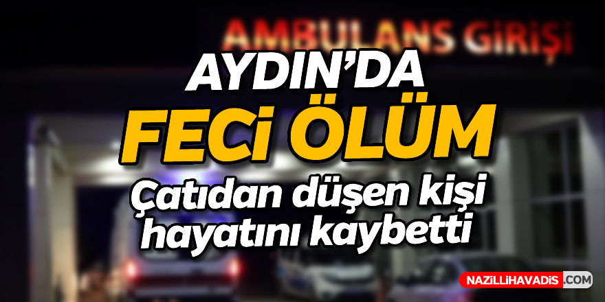 Aydın'da feci ölüm