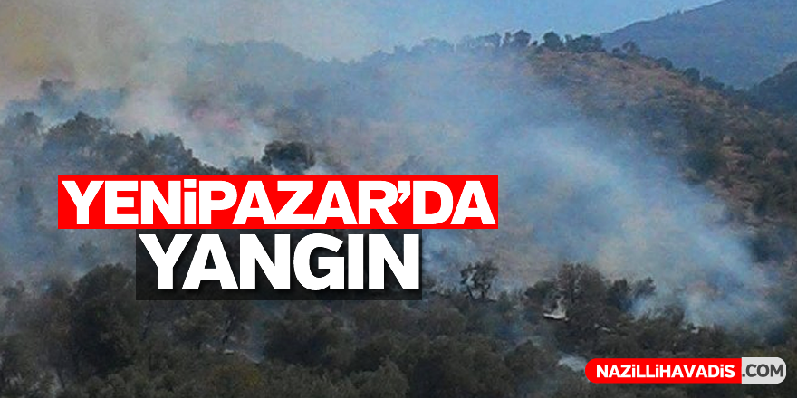 Yenipazar'da yangın