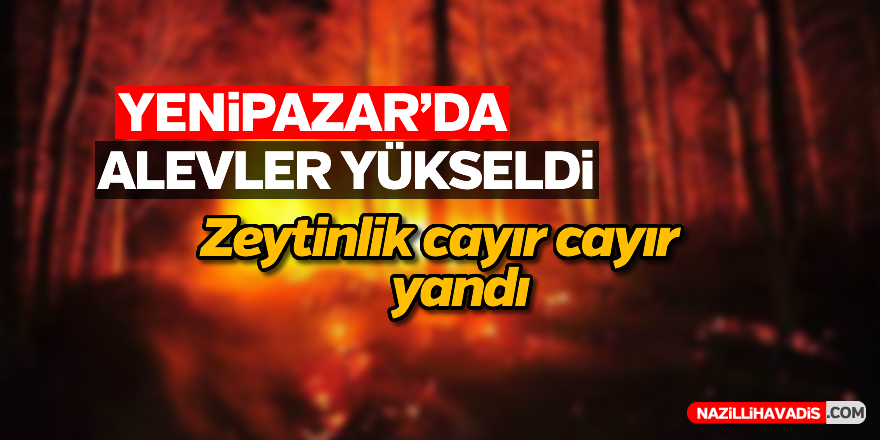 Yenipazar'da yangın