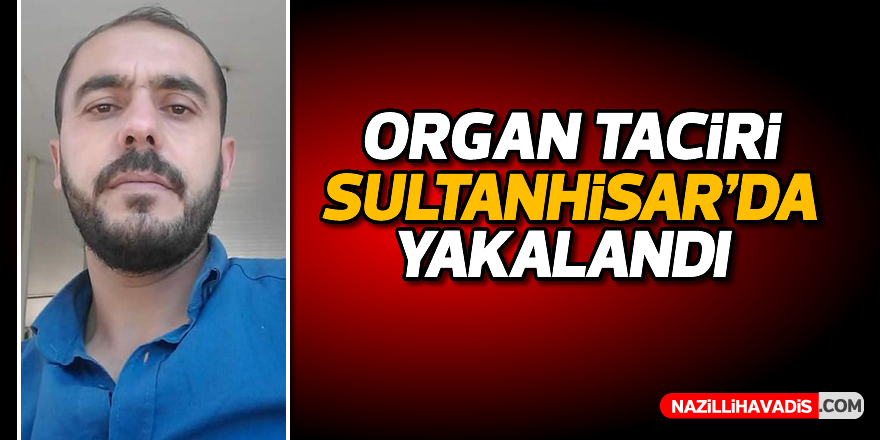 Organ taciri Sultanhisar'da yakalandı