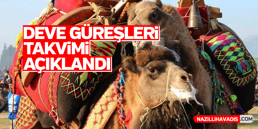 Deve Güreşleri takvimi açıklandı