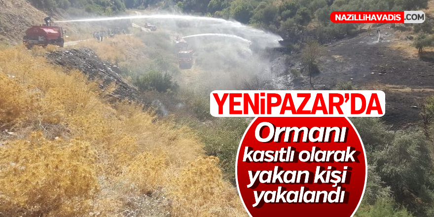 Yenipazar'da ormanı kasıtlı olarak ormanı yakan kişi yakalandı