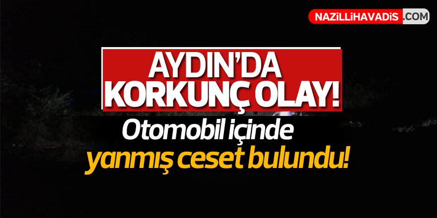 Aydın'da korkunç olay!