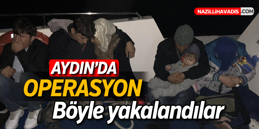 Aydın'da 24 düzensiz göçmen yakalandı